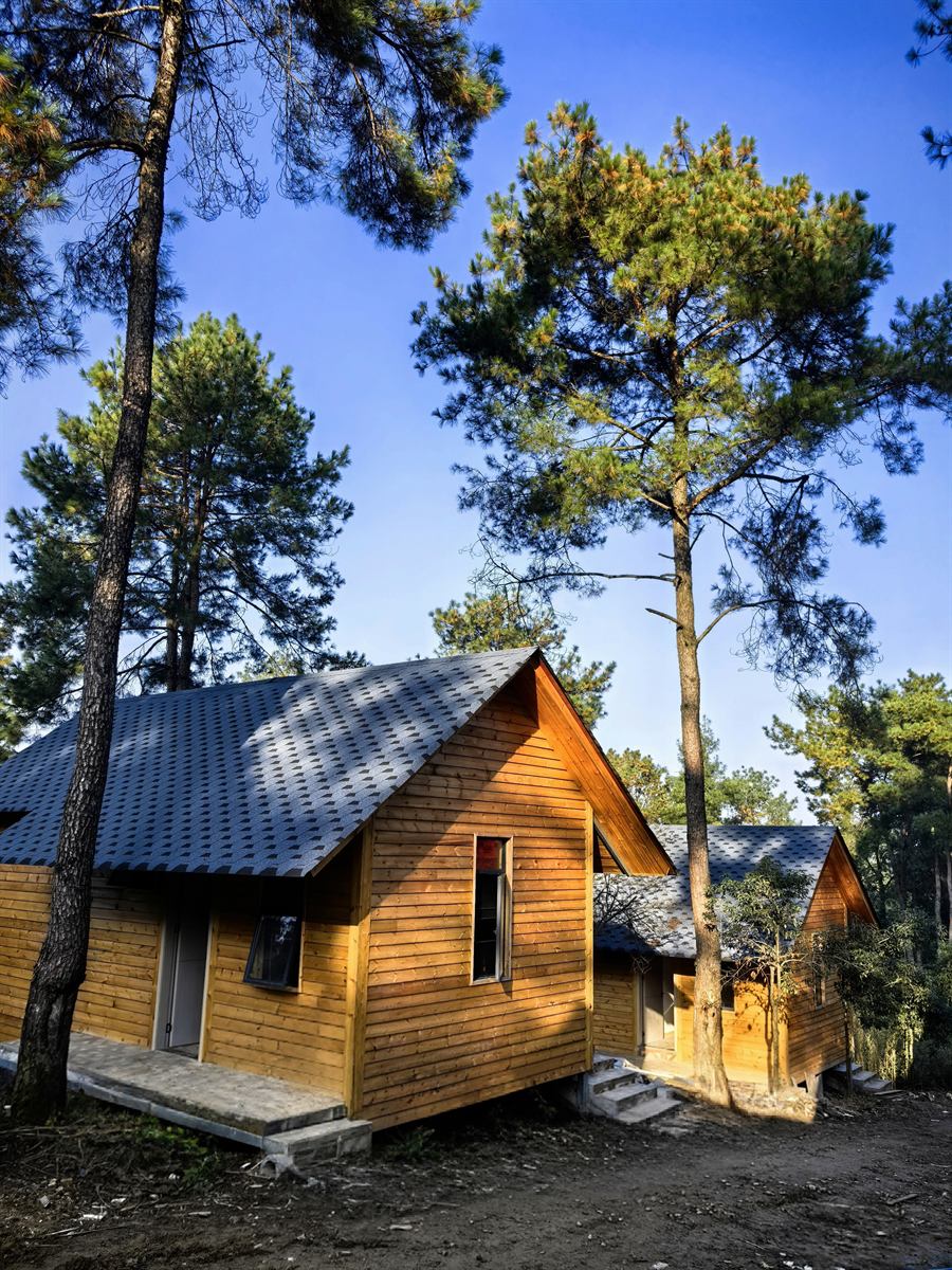 松风静院环境照片 3